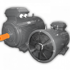 250/1000 АДЧР 355МВ6У2 исп 2081 эл. двигатель